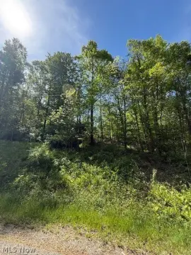 Wooded Lot in Newcomerstown, OH