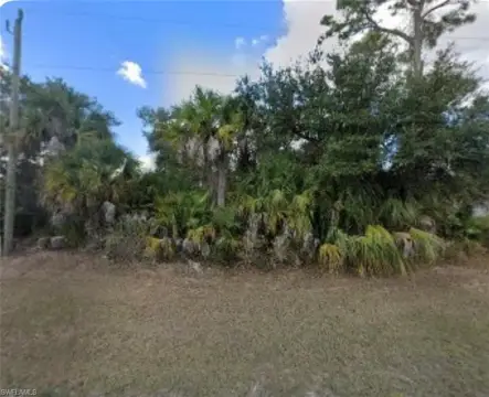 Residential Lot in Labelle, FL