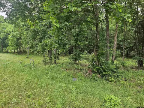 Overton, TX Rural Acreage