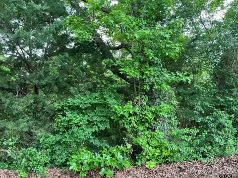Mineola Wooded Land For Sale