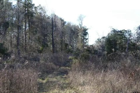 Rural Acreage with Road Frontage