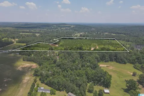 43 Acres Near I-65