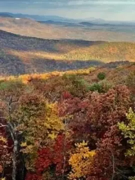 7+ Acres Mountain View Lot