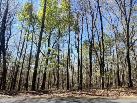 Ellijay Wooded Lot Near Lake