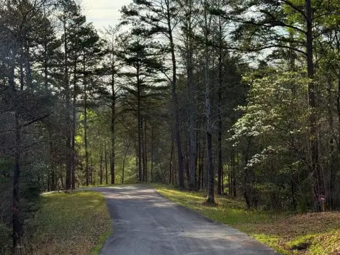 Warne, NC Vacant Lot