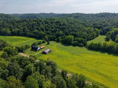 Whitetail Hunting Land