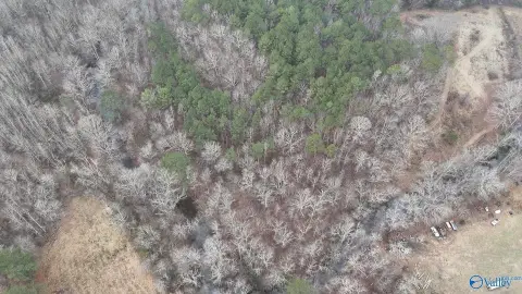 21 Acres of Land, Oneonta