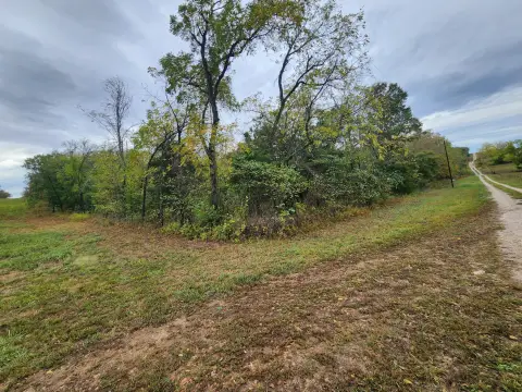 Timbered Hunting Land