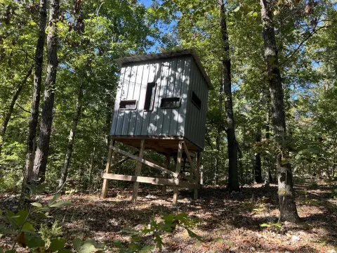 Wooded Hunting Land with Deer Stand