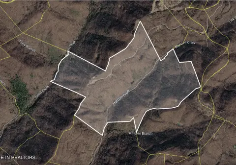 Wooded Recreational Land with Creek