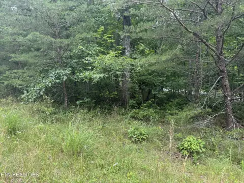 Level Corner Residential Lot