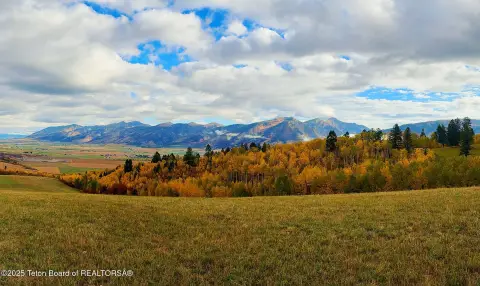 40 Acres of Elevated Farmland