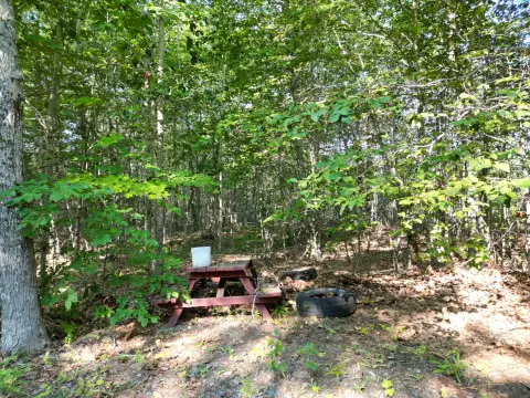 Recreation Land with Trail Access