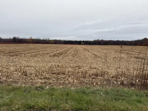 Cleared Land Parcel in Bangor