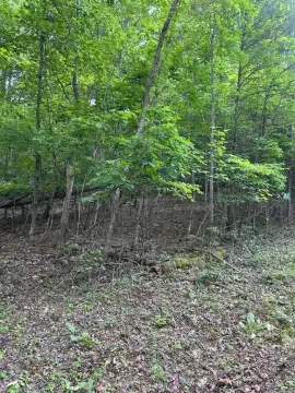 Wooded Lot in Hiawassee, GA