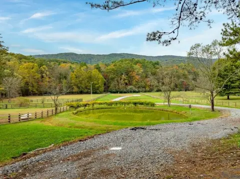 Ellijay, GA Creek Front Lot