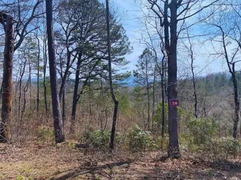 Warne, NC Vacant Homesite