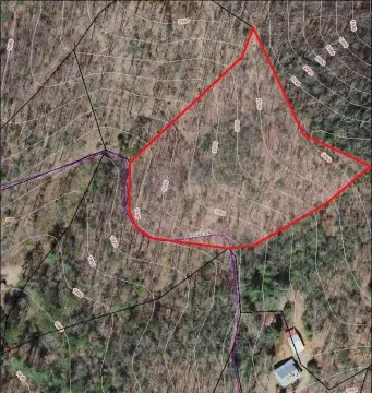 Unrestricted Land in Murphy, NC