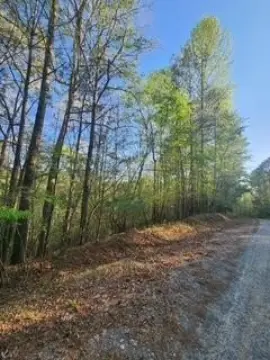 Ellijay Vacant Creek Frontage Lot