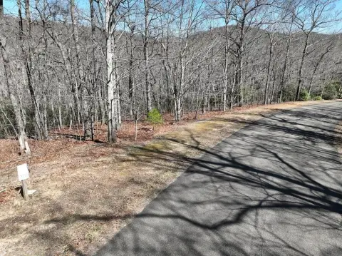 Ellijay Wooded Lot with Views