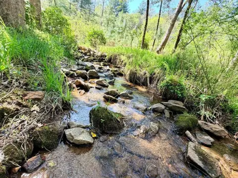 Creek Front Lot in Blairsville