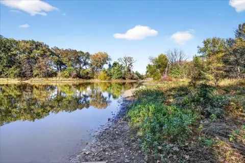 Eustace, TX Land with Grapevines