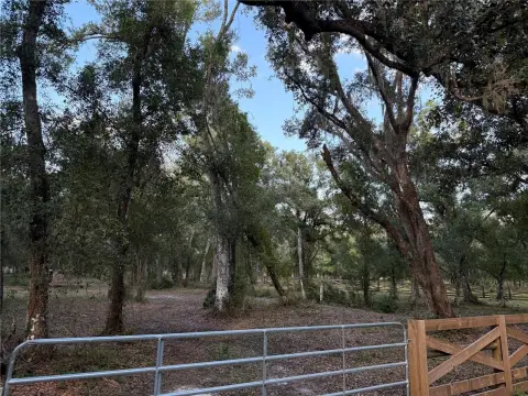Fully Fenced Agricultural Land