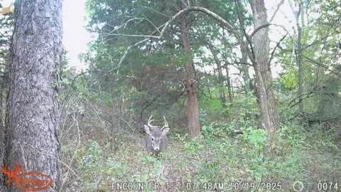 Blockton, Iowa Farm/Estate For Sale