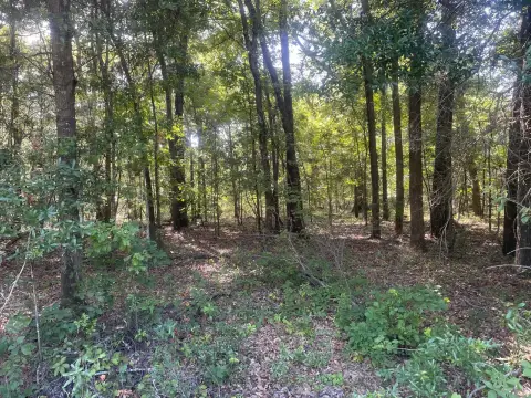 Lake Eufaula Waterfront Land