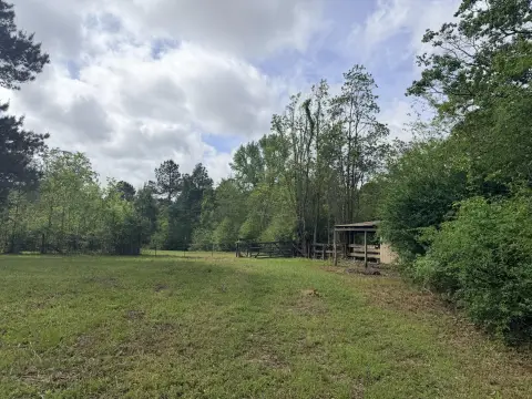 Wooded Land Parcel Near Bellegrass