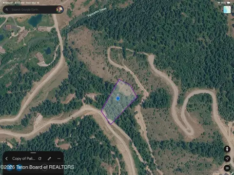 Wooded Homesite in Irwin, ID