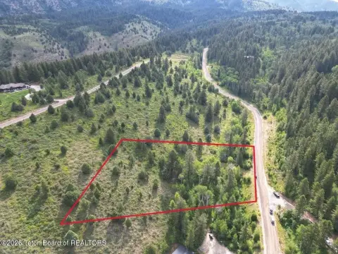 Irwin, ID Wooded Land