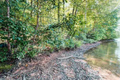 Waterfront Land in Statesville, NC