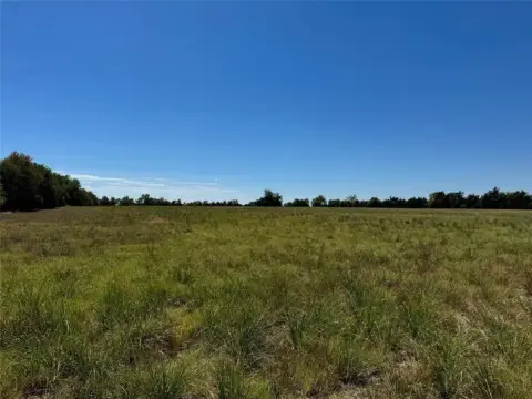 Undeveloped Land Near Paris, TX