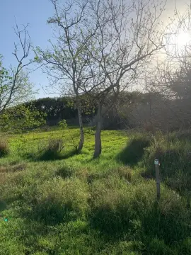 Residential Lot Near Schools, Walmart