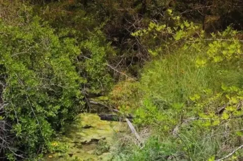 Residential Land in Weatherford, Texas