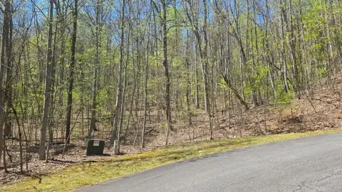 Wooded Lot in Young Harris