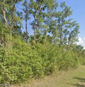 Lehigh Acres Vacant Lot
