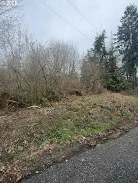 Rainier Buildable Lot with Views