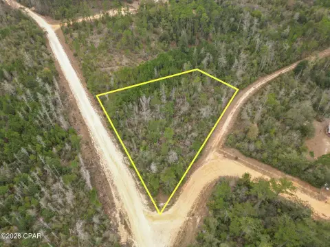 Vacant Land in Marianna, FL