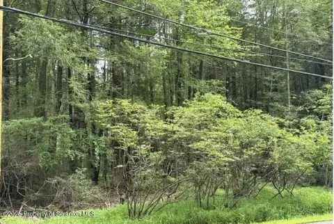 Wooded Lot in Gated Community