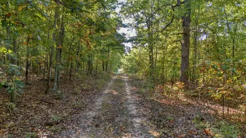 Wooded Hunting Land with Cabin