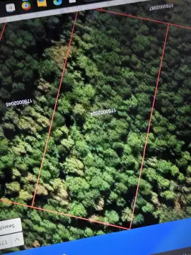 Wooded Residential Land Parcel