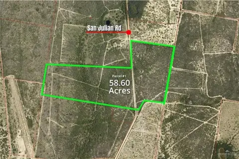 Roma, TX Agricultural Land