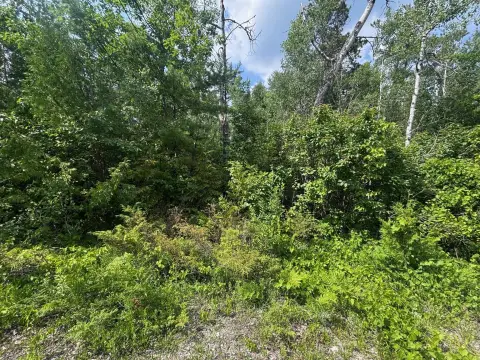 Wooded Building Lot in Presque Isle