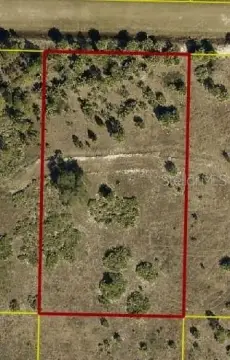 Partially Cleared Residential Land Lot