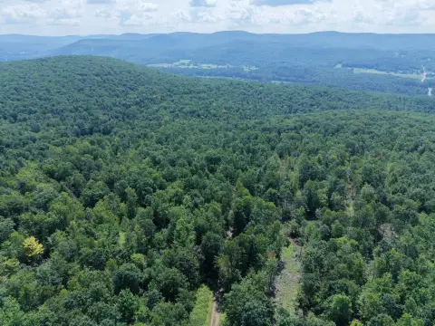 Wooded Hunting Land