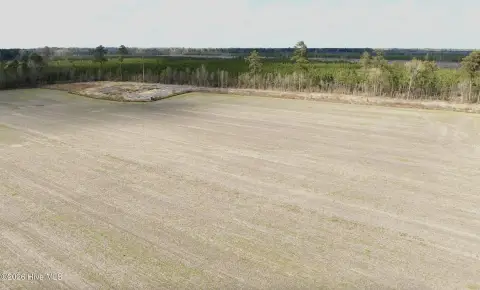 Farmland and Timber Investment Opportunity