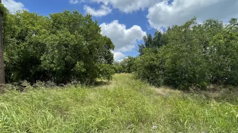 Asphalt-Fronted Commercial Development Land
