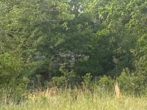 Acreage Near Edgewood City Limits